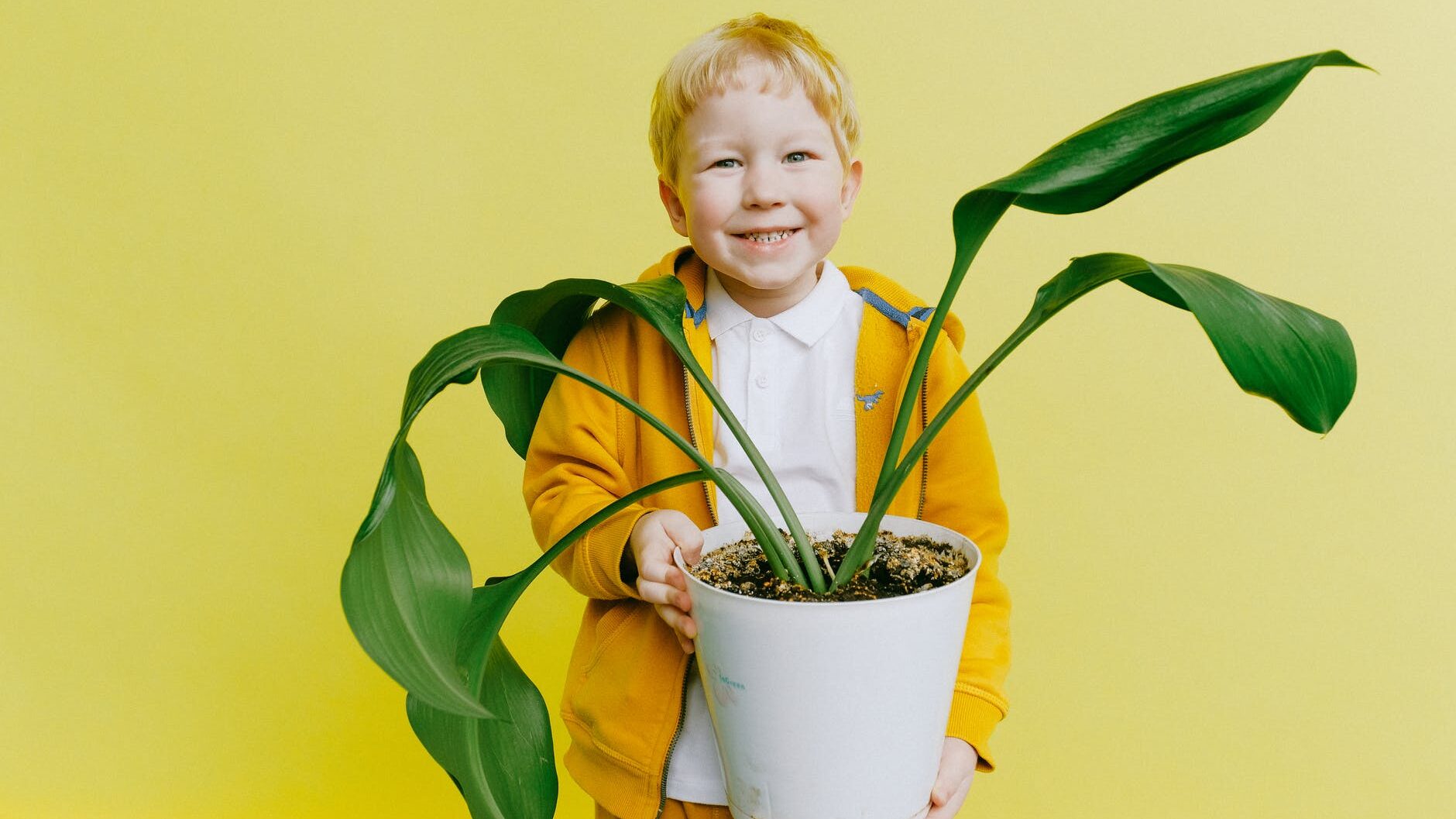 كيف تصبح شخصًا أكثر مسؤولية