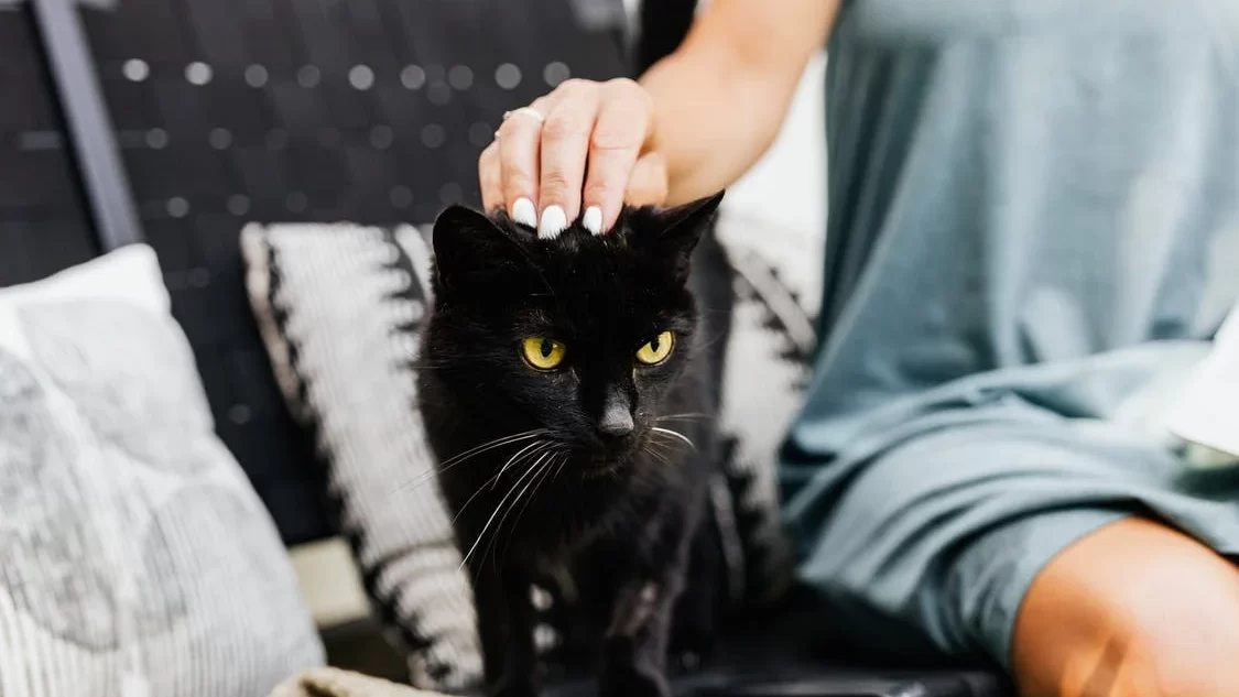 12 طريقة للحصول على علاقة أفضل مع جيرانك