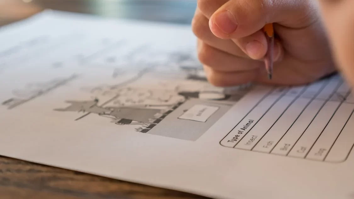 أشهر طرق تطوير الذكاء